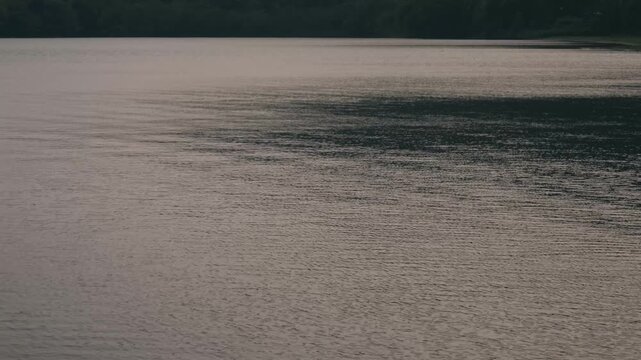 A Quiet Cove with a Lakeside Park Lawn in the Background
