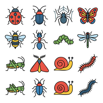 Colorful Illustrated Garden Insects and Creatures Collection.