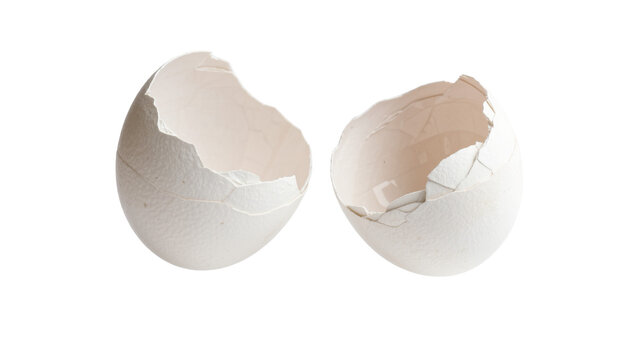 Two cracked white eggshell halves, isolated on transparent background