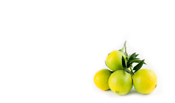 Green fresh organic orange on the white background