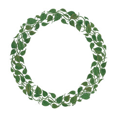 Circular botanical wreath of green heart-shaped leaves, hand-drawn philodendron foliage frame isolated on white background for design © LineAndLayer