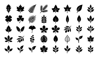 Obraz premium Set of black silhouette leaf icons for autumn seasonal design and
