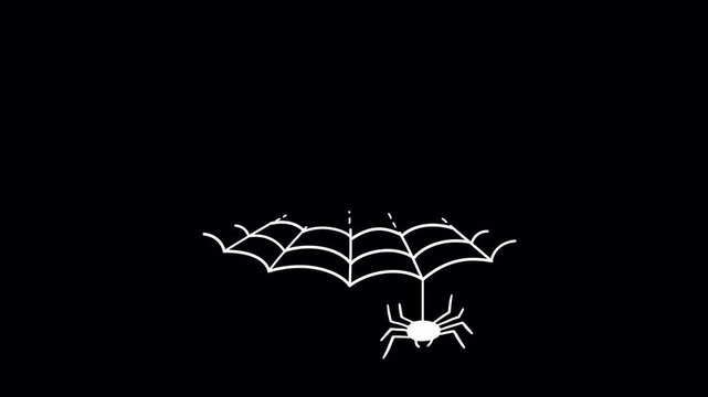 Animation of a hand drawn spider descending from a web on a black background.