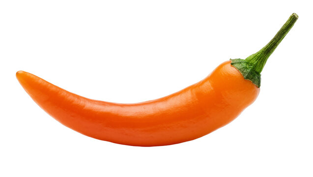 Bright orange chili pepper with green stem, isolated on transparent background