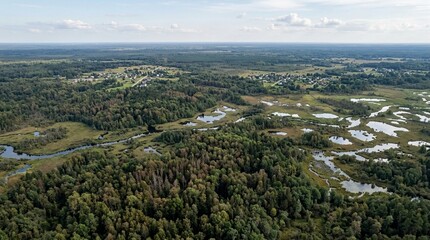 Fototapeta premium Expansive Aerial View of a Lush Forest with Scattered Wetlands and Rural Villages Under a Cloudy Sky