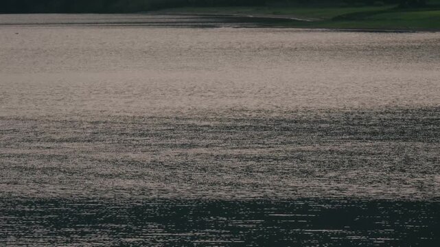 A Quiet Cove with a Lakeside Park Lawn in the Background
