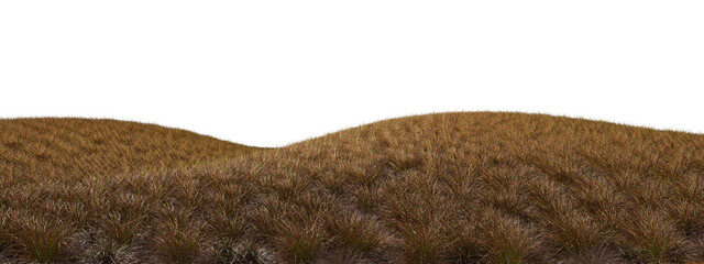 Obraz premium Savanna grass fields mound hills cut out transparent backgrounds 3d illustrations png