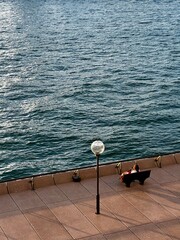 Fototapeta premium seagull on pier