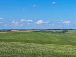 Fototapeta premium Rolling Green Hills and Dramatic Blue Sky in Ukrainian Countryside
