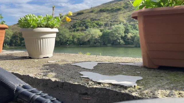 Turtle Lake, Tbilisi, Georgia