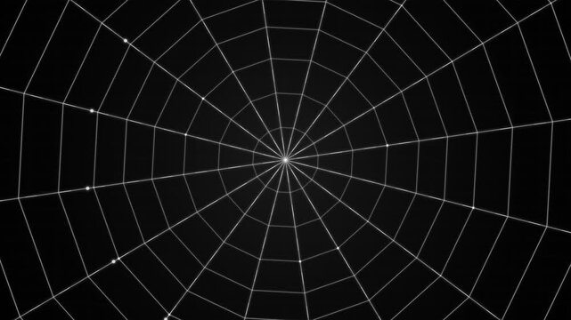 Spooky glowing spiderweb graphic background with geometric radial web pattern in the dark