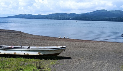 Rowboat on a lakeshore with swans beside the water © Aki Photo Works