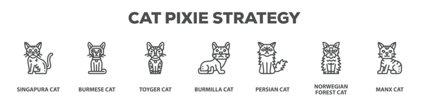 Cat Pixie Strategy with icon of Singapura cat, Burmese cat, Toyger cat, Burmilla cat, Persian cat, Norwegian forest cat, Manx cat