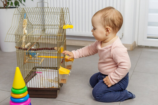 Baby kneeling touching feeder on pet bird cage