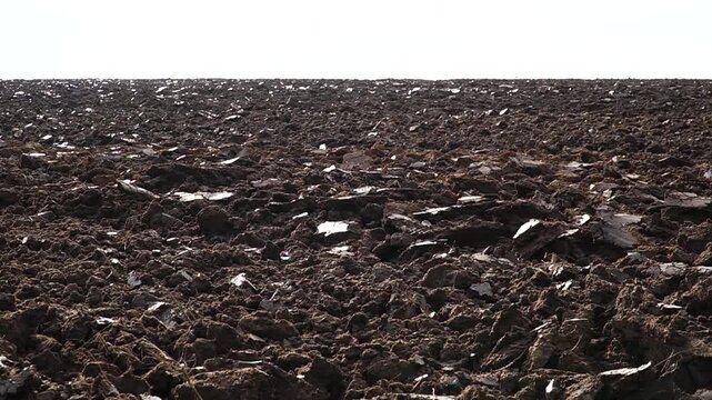 Reversible cultivator. Tractor working on the field doing tillage with cultivator. n