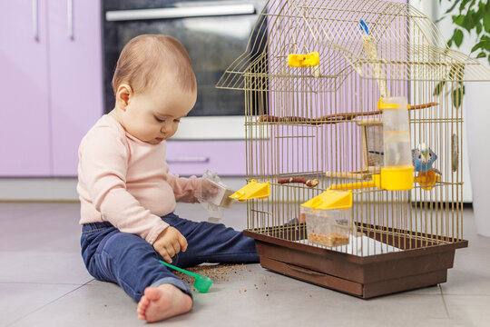 Baby holding bird feed container beside pet cage