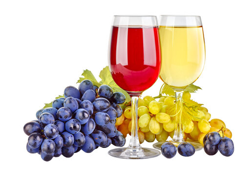 Red and white wine in wineglass goblets with grapes Isolated on white background.