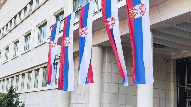 Official Serbian flags displayed on administrative building exterior. National tricolor banners flutter on classical columns of public institution during bright sunny day city.