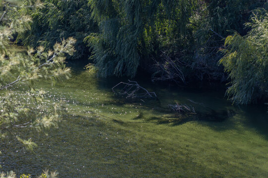 Z&ecirc;zere river flowing through lush green trees