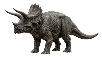 Triceratops dinosaur with horns and frill on isolated background © Isolated Hub
