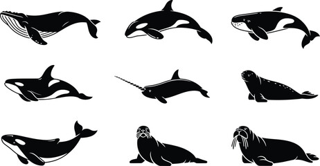 Collection of black silhouettes of sea creatures such as whales, orcas, and seals on a white background © Shamima