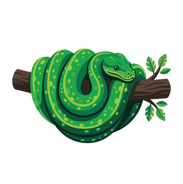A modern flat vector illustration of a green tree python coiled around a wooden branch with small leaves, isolated on a white background for web