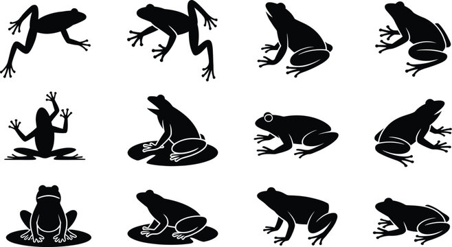 Twelve frog silhouettes in various poses including jumping and sitting on lily pads