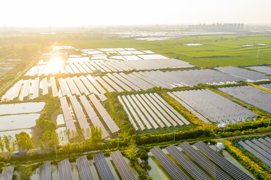 Photovoltaic panels neatly arranged on water fish pond landscape