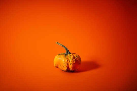 Small decorative pumpkin on vibrant orange background with copy space