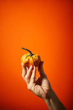 Hand Holding a Small Ornamental Pumpkin Gourd on Bright Orange Background