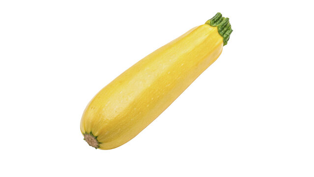 Single fresh raw yellow zucchini squash vegetable isolated on transparent background