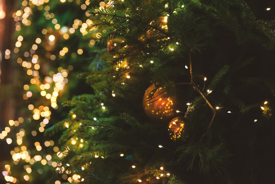 Decorated with golden ornaments evergreen glows warmly