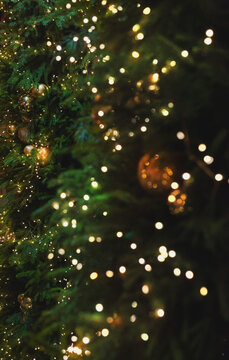 Decorated with golden ornaments evergreen glows warmly