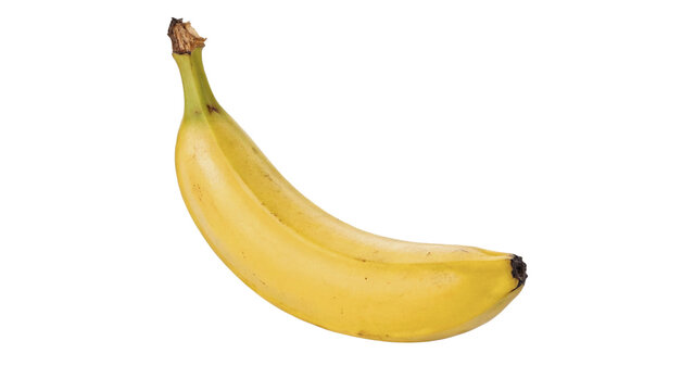 Single fresh ripe sweet yellow banana fruit healthy tropical food isolated on transparent background