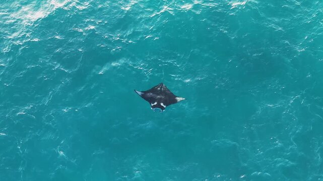 Aerial view of Manta in the ocean