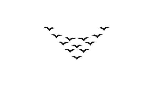 V-shaped flock of birds flying in formation against a plain white background.