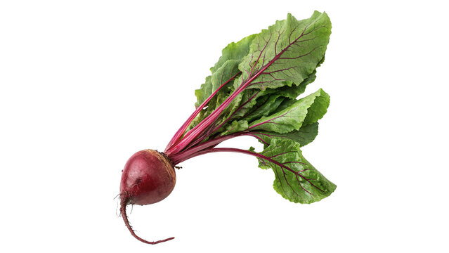 Fresh raw red beetroot vegetable with green leaves isolated on transparent background
