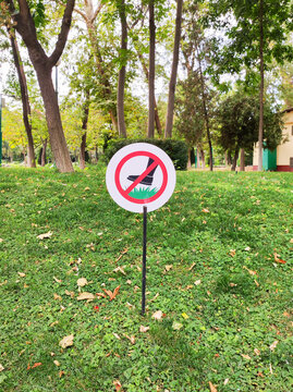 Round white prohibition sign with red border and crossed out shoe Do not walk on the lawns. Standing on green lawn with fallen leaves in city park. Ecology and public rules concept.