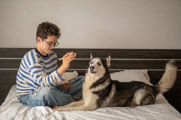 Young student working together with husky lying close, company better than any classmate, image made for honest content marketing. Wide shot. Concept of studying together with own dog © iwavephoto