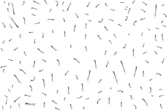 Black abstract strokes isolated on transparent background