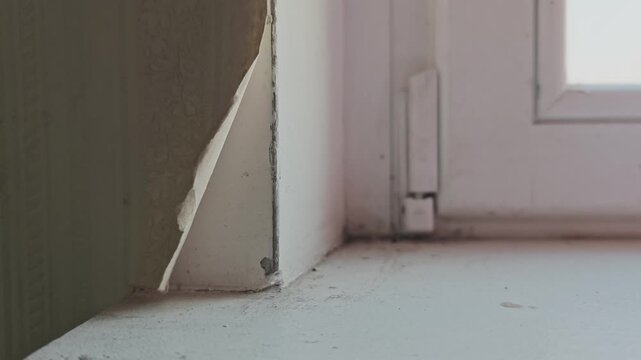 Sunlight casting a moving shadow across a dirty, moldy windowsill. Peeling wallpaper and neglect revealing the passage of time