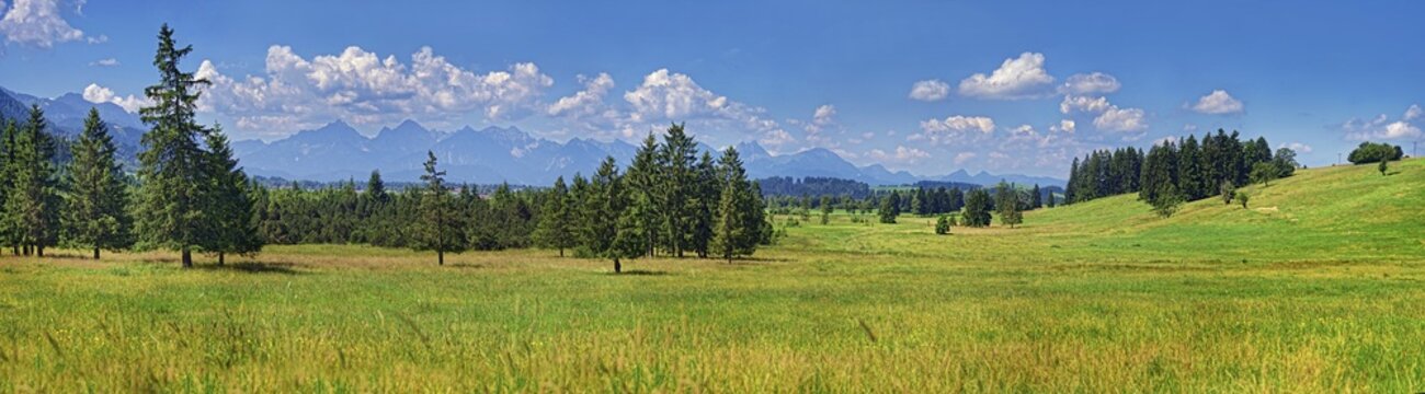 Nature biotope with lush meadows and Ammergau Alps, foothills of the Alps, Unterreithen, Bavaria, Germany