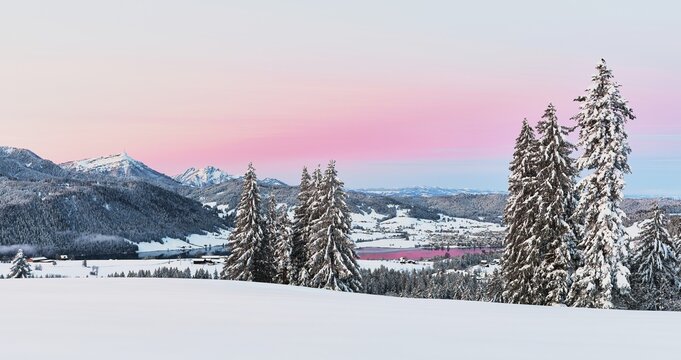 Snow-covered forest with view of Lake Aegeri behind Rigi and Pilatus, Gottschalkenberg, Canton Zug, Switzerland