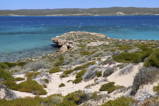 Landscape on Dirk Hartog Island, Dirk Hartog Island National Park, named after the Dutch navigator of the same name, Shire of Shark Bay, State of Western Australia, Australia