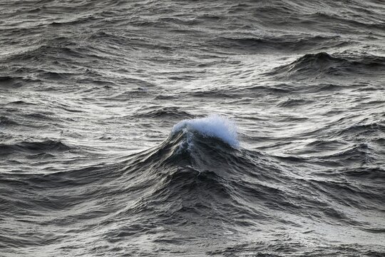 Single wave with spray on high sea, North Sea