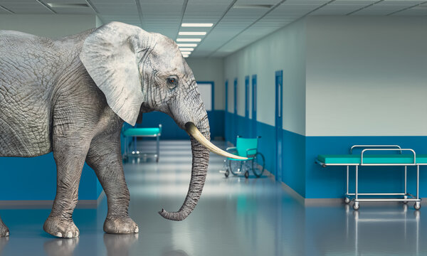 Elephant walking hospital corridor 3d