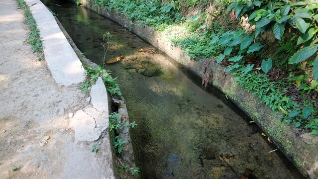 Clear water irrigation canal flowing alongside dirt walking path in forest