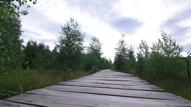 Time lapse of wooden boardwalk path in bog forest with passing clouds