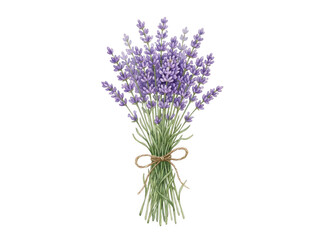 Obraz premium Beautiful bouquet of fresh purple lavender flowers tied with a rustic string bow as a simple floral arrangement