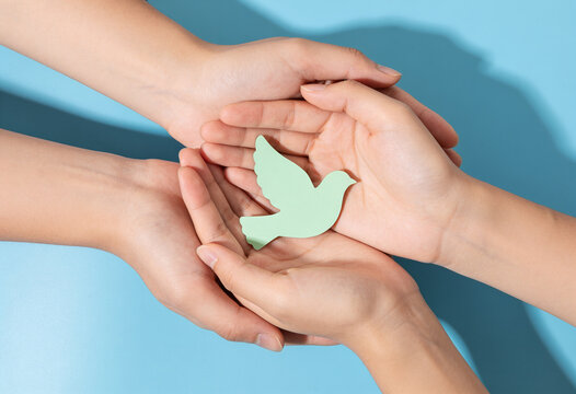 Diverse hands cupping green paper dove cutout on blue background symbol of peace harmony unity and social support